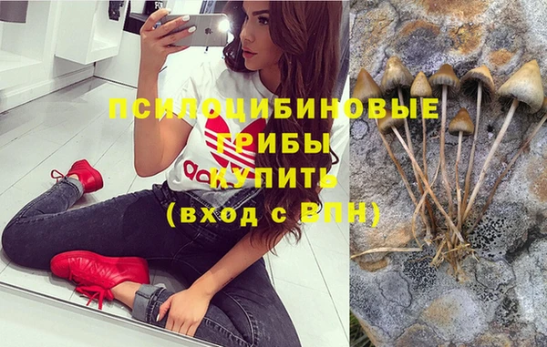 твердый Алзамай