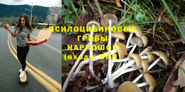 мяу мяу кристалл Алексин