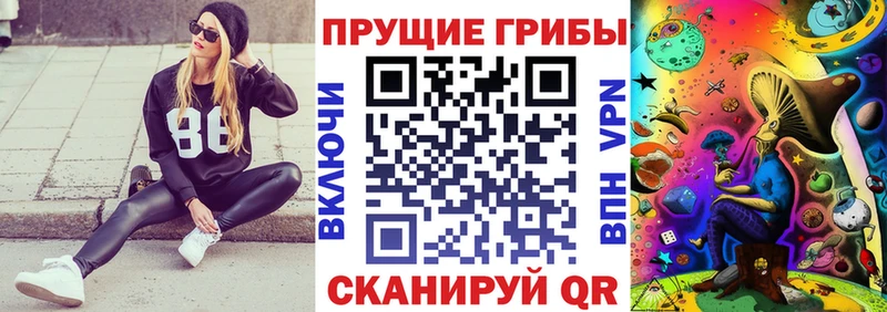 Псилоцибиновые грибы прущие грибы где продают Новая Ляля